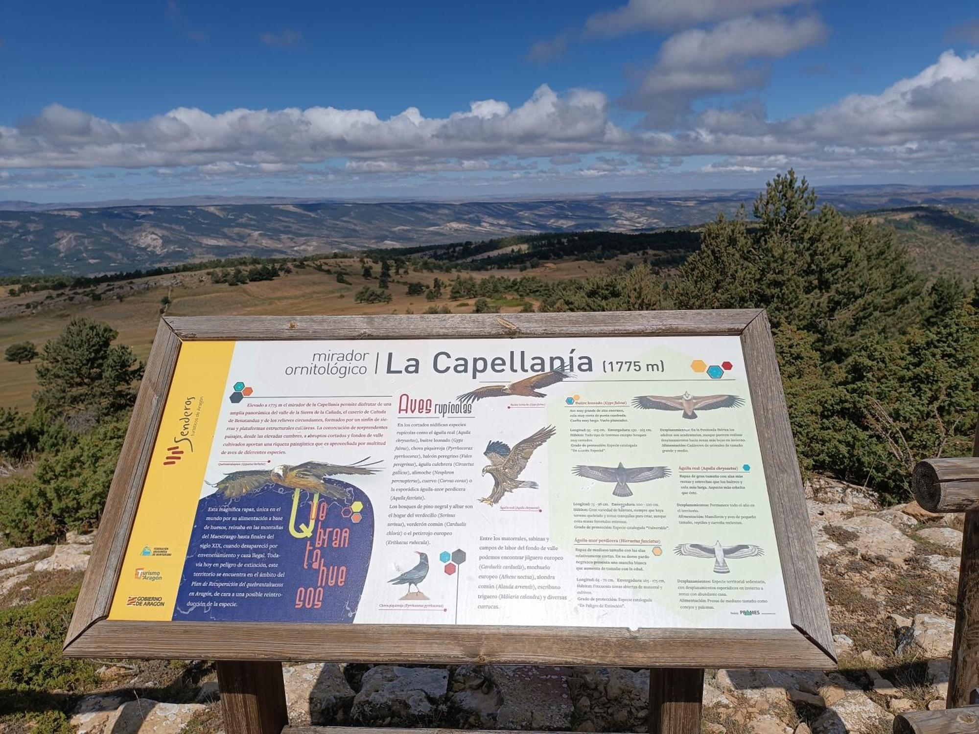 Apartamentos De Turismo Rural La Rocha Fortanete Buitenkant foto